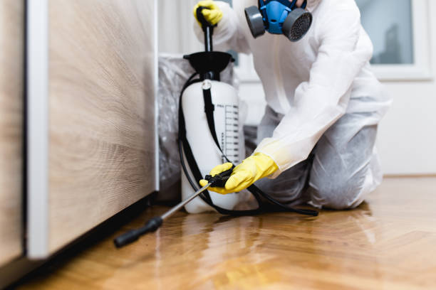 Best Pest Control Near Me  in Paradise, CA