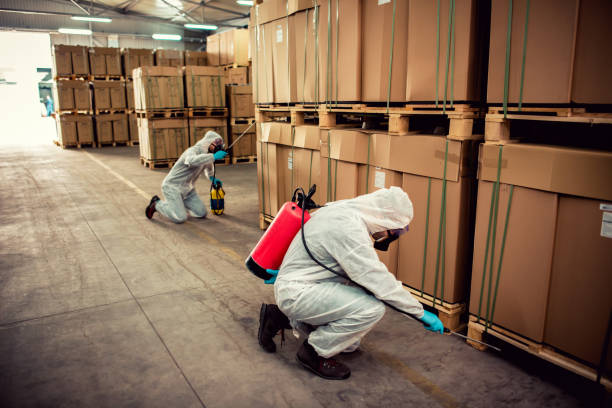 Best Pest Removal Services  in Paradise, CA