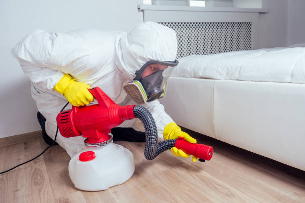 Best Exterminator Services  in Paradise, CA