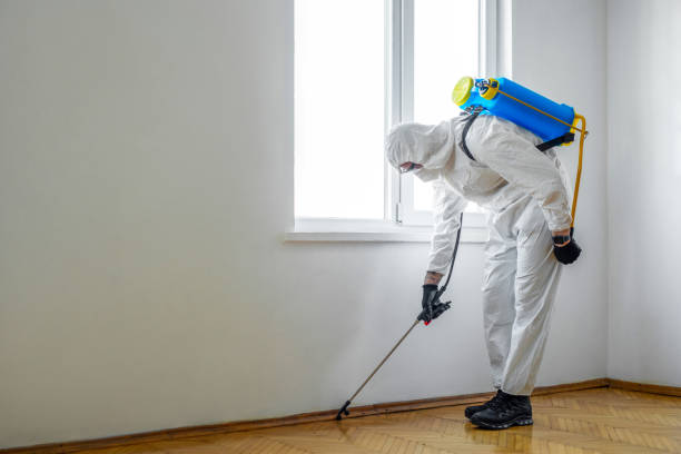 Best Cockroach Control Services  in Paradise, CA