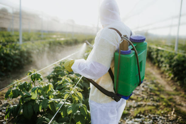 Best Flea Control Services  in Paradise, CA